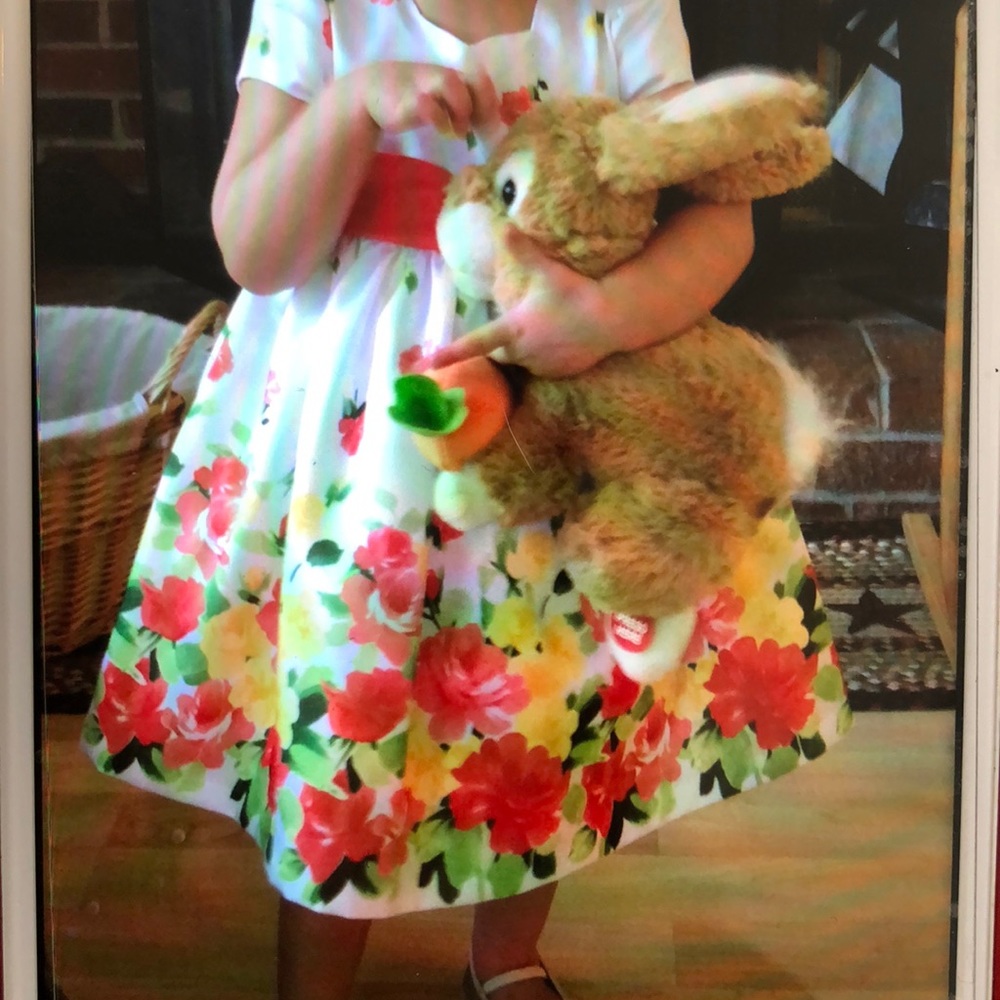 Easter or spring dress size 24m
